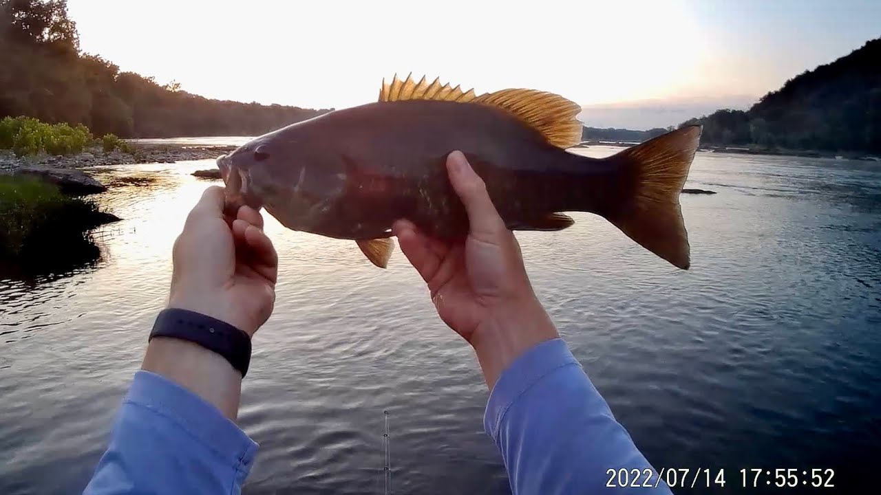 Fishing 2022- Pt 3
