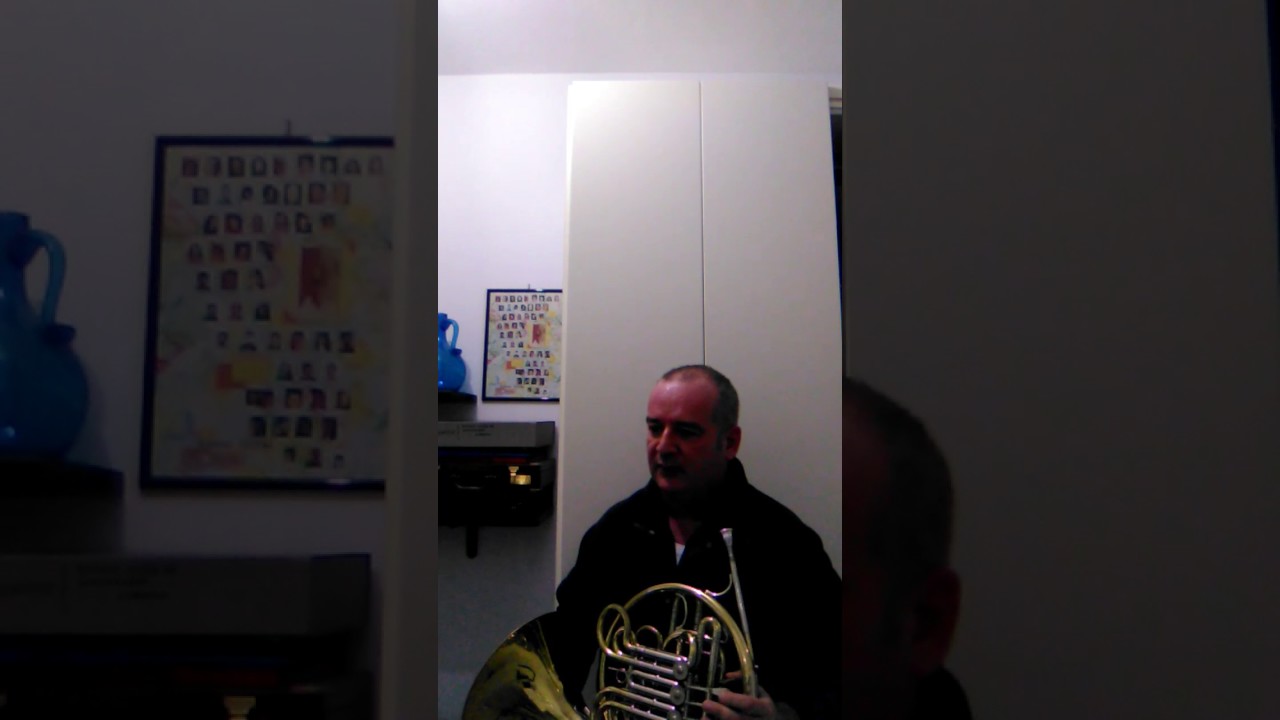 Alberto Cappiello plays Telemann Horn Concerto