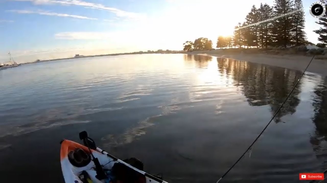 Kayak Fishing in Perth | Lots of Fish Around