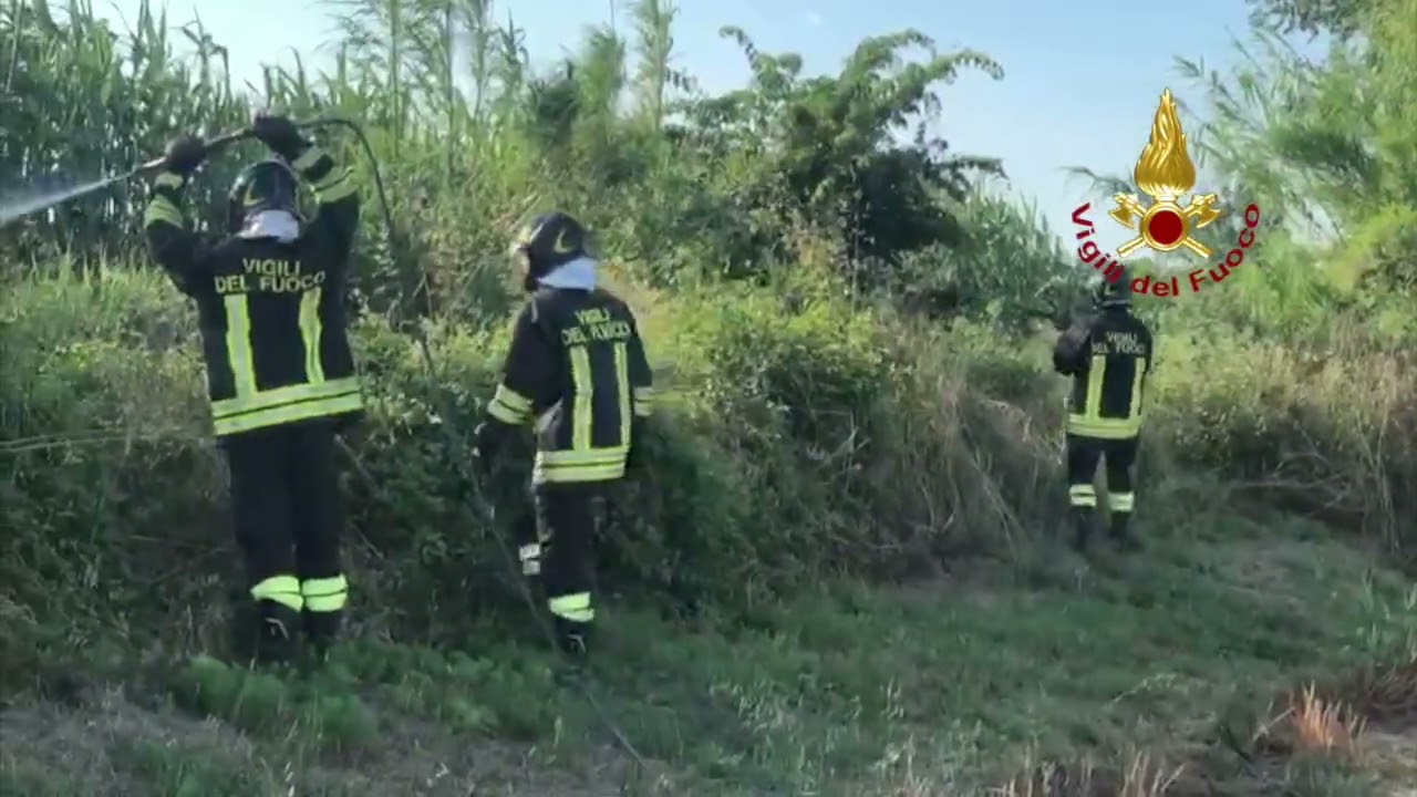 L'incendio di sterpaglie domato dai Vigili del Fuoco