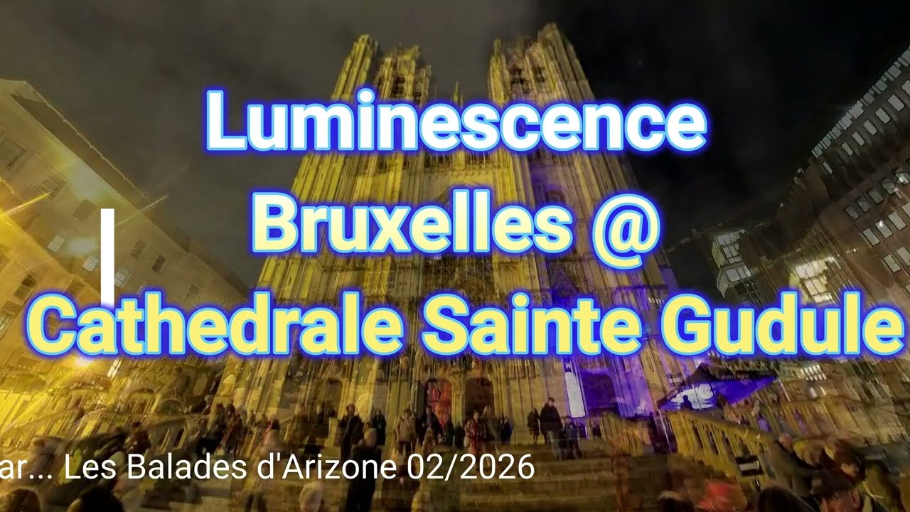 Luminescence : 🌌 cathedrale Sainte‑Gudule — 800 ans racontés par sa propre voix