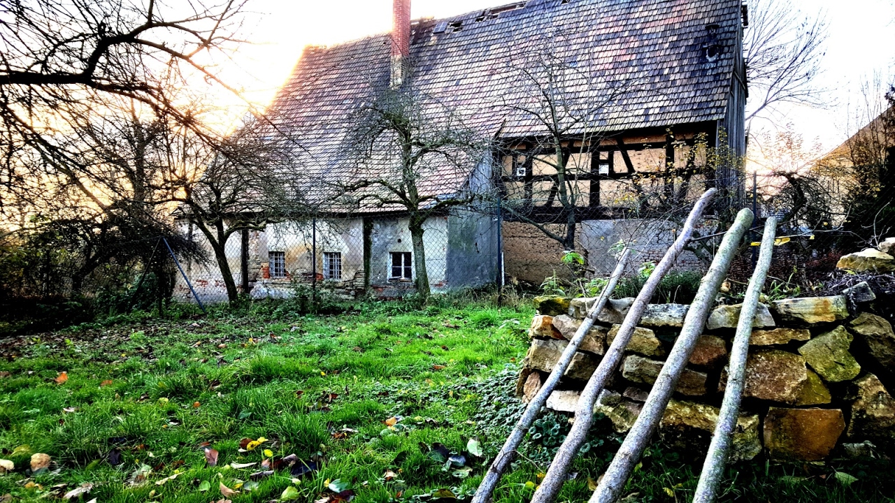 VLOG#5 // Haselnuss Ernte // Pfeile behandeln // Haselnuss Bogen bauen // Kaninchen fressen Holz