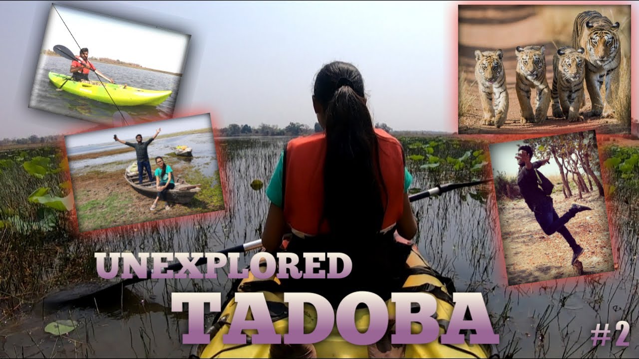 ताडोबा | Unexplored Area's of Tadoba | Tadoba Andhari Tiger Reserve |