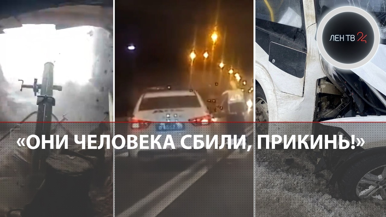 «Руки на стол!» | Выбивали процент с овец | Покушение на медведя | Машина ДПС сбила пешеходов