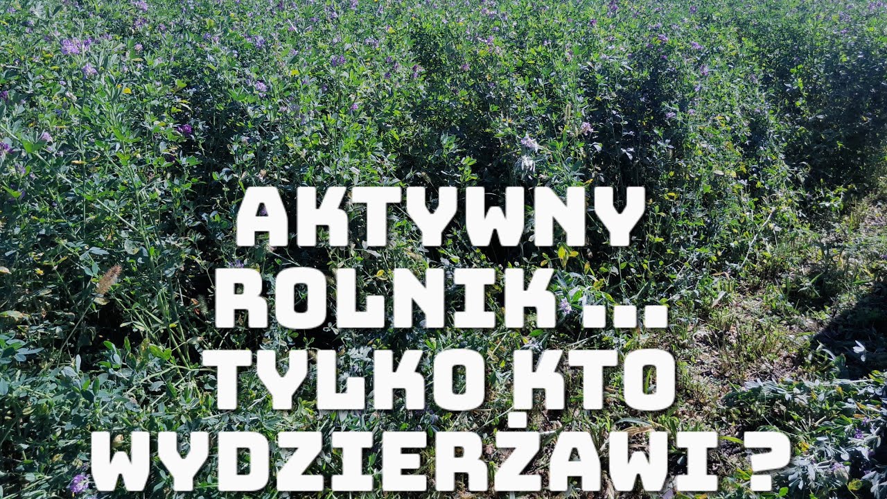 #3 Okiem hodowcy rolnika, aktywny rolnik i dzierżawa rolnicza