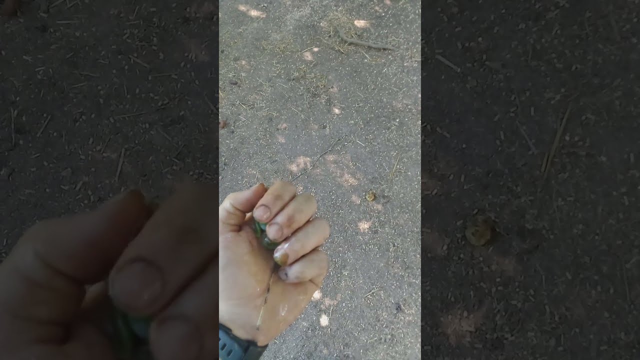 🍇🐓 