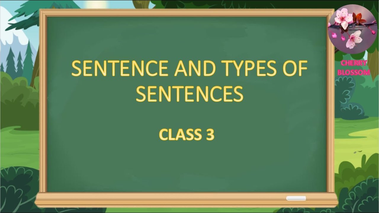 Sentences and types of sentences | Class 3 | Grammar