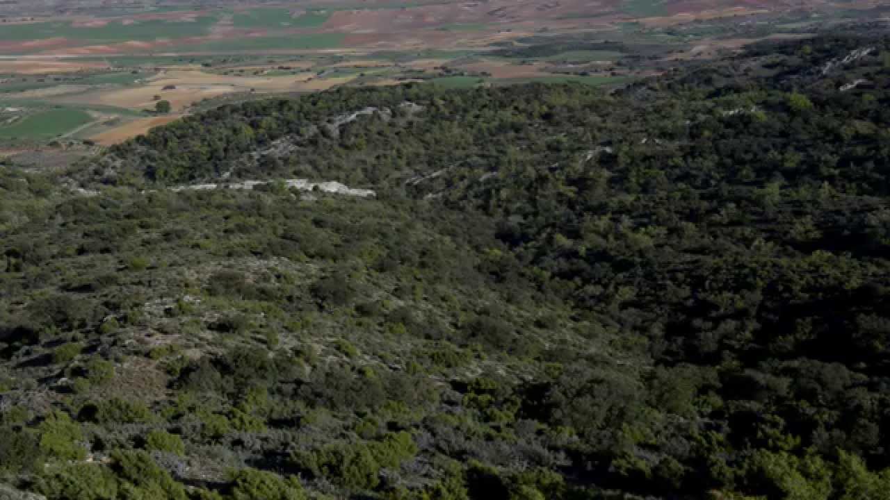 Patrimonio Natural de la Provincia de Guadalajara