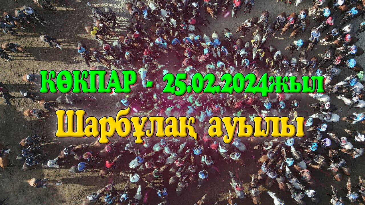 Қазығұрт ауданы Шарбұлақ ауылы Ережеп Әділбек мырзаның көкпары 25.02.2024жыл КӨКПАР