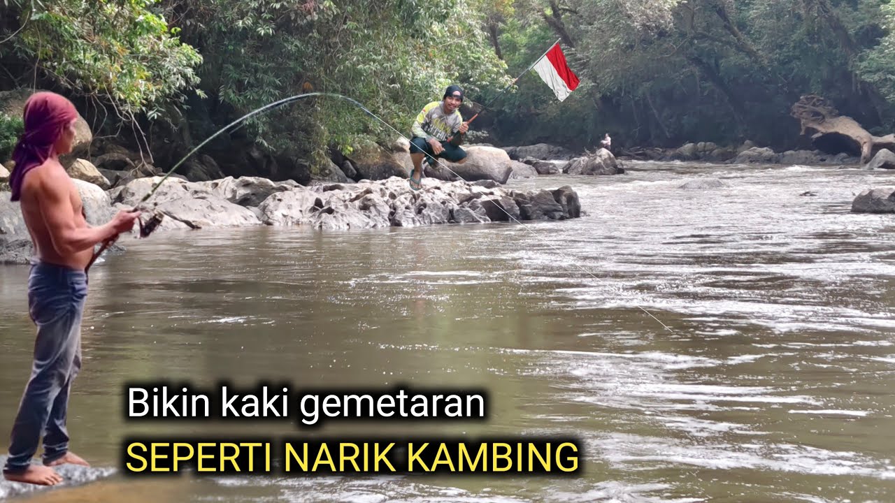 3 hari Camping fishing..!! kemerdekaan pecah Rekor dapat ikan hampala terbesar 2025