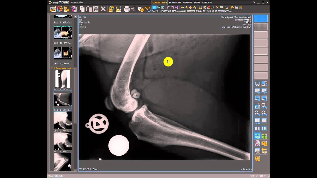 BCF easyIMAGE Image Management System overview