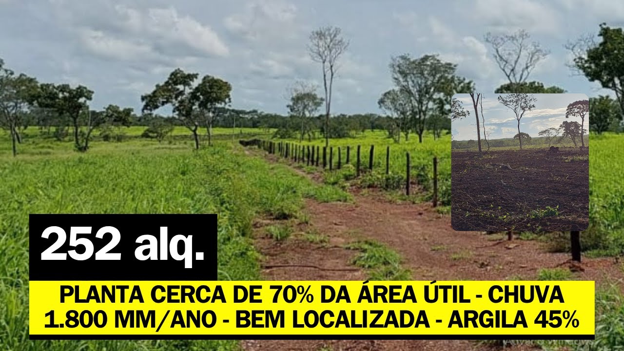 [ PLANTA TUDO ] 252 ALQUERÃO POR R$ 12.9 MILHÃO A VENDA NO TOCANTINS - BEM LOCALIZADA