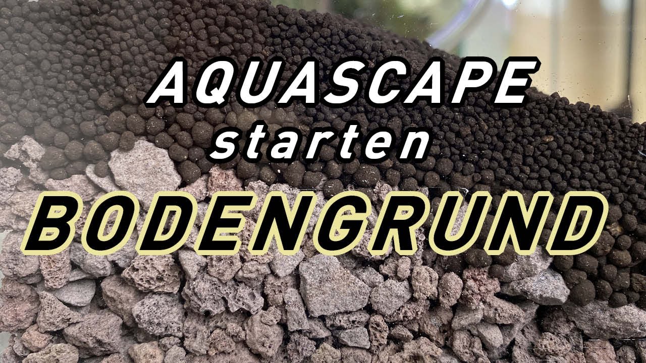 Bodengrund & Bodengrundzusätze für ein Aquarium - Perfekter Bodengrund & optimaler Aquascape Aufbau