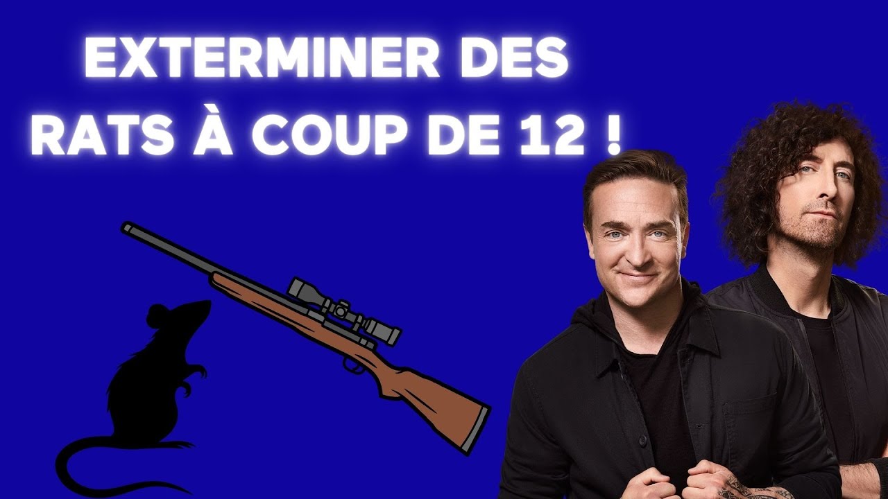 [ÉNERGIE] 🚨 Avez-vous tué les rats à coup de 12 chez-nous? 🚨 – Coup de 16h20