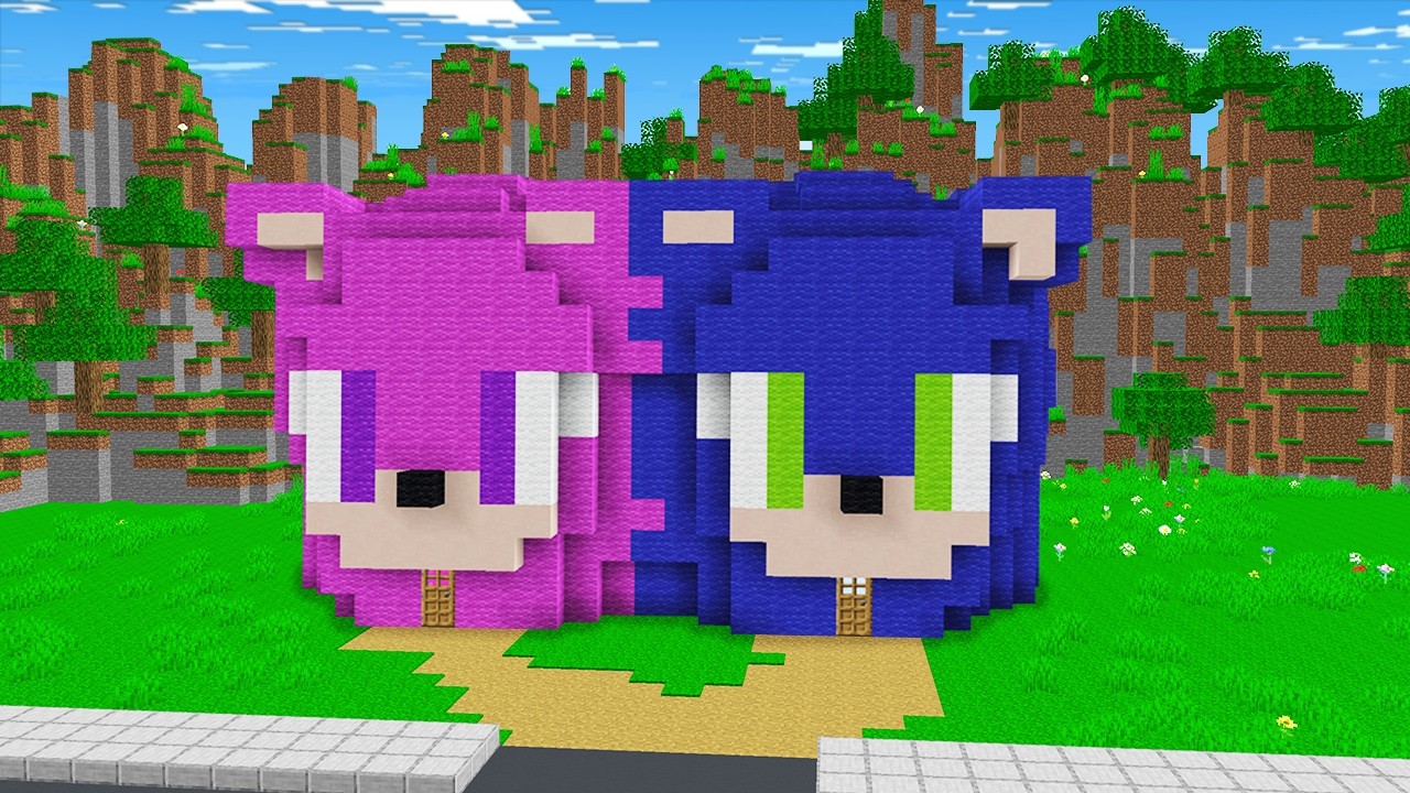 NEDEN Kız Bebek Sonic ve Bebek Sonic Evini Birleştirdi? - Minecraft