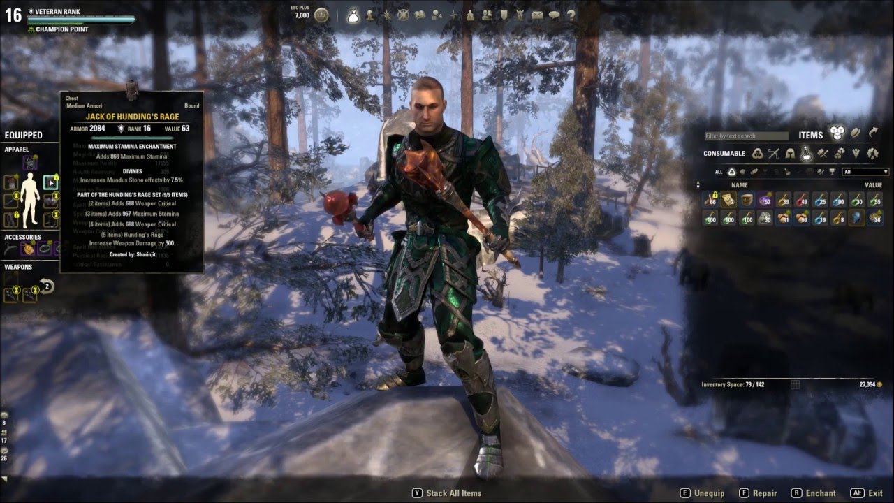 Stamplar PvE DPS Update - Stamina Templar for ESO 2.3 Thieves Guild