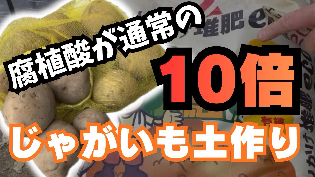 【春ジャガイモ】は土で9割決まる米ぬか×籾殻×腐植酸のバランス