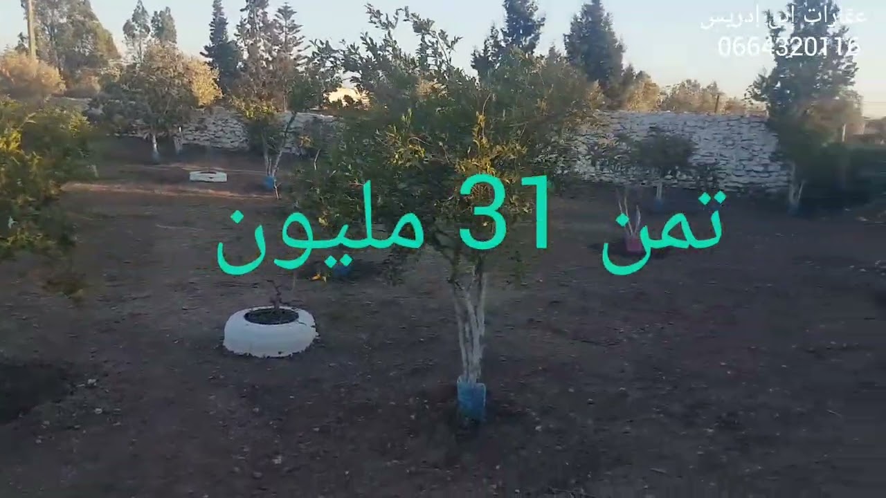 منزل جميل🏡للبيع على الكودرون فيه الكهرباء والأشجار بأولاد حمدان إقليم الجديدة
