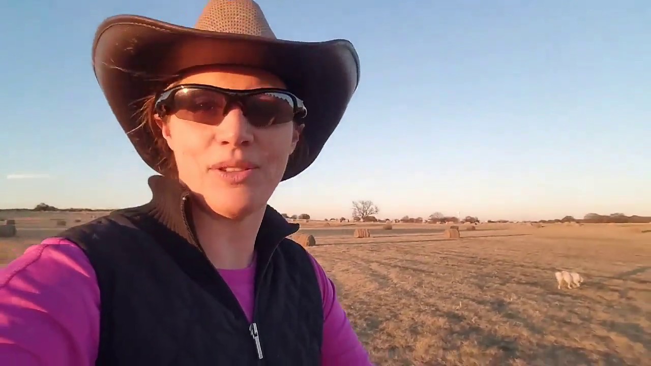 Exercises to gain control bitless using a side pull bridle at a trot and canter with one rein stops