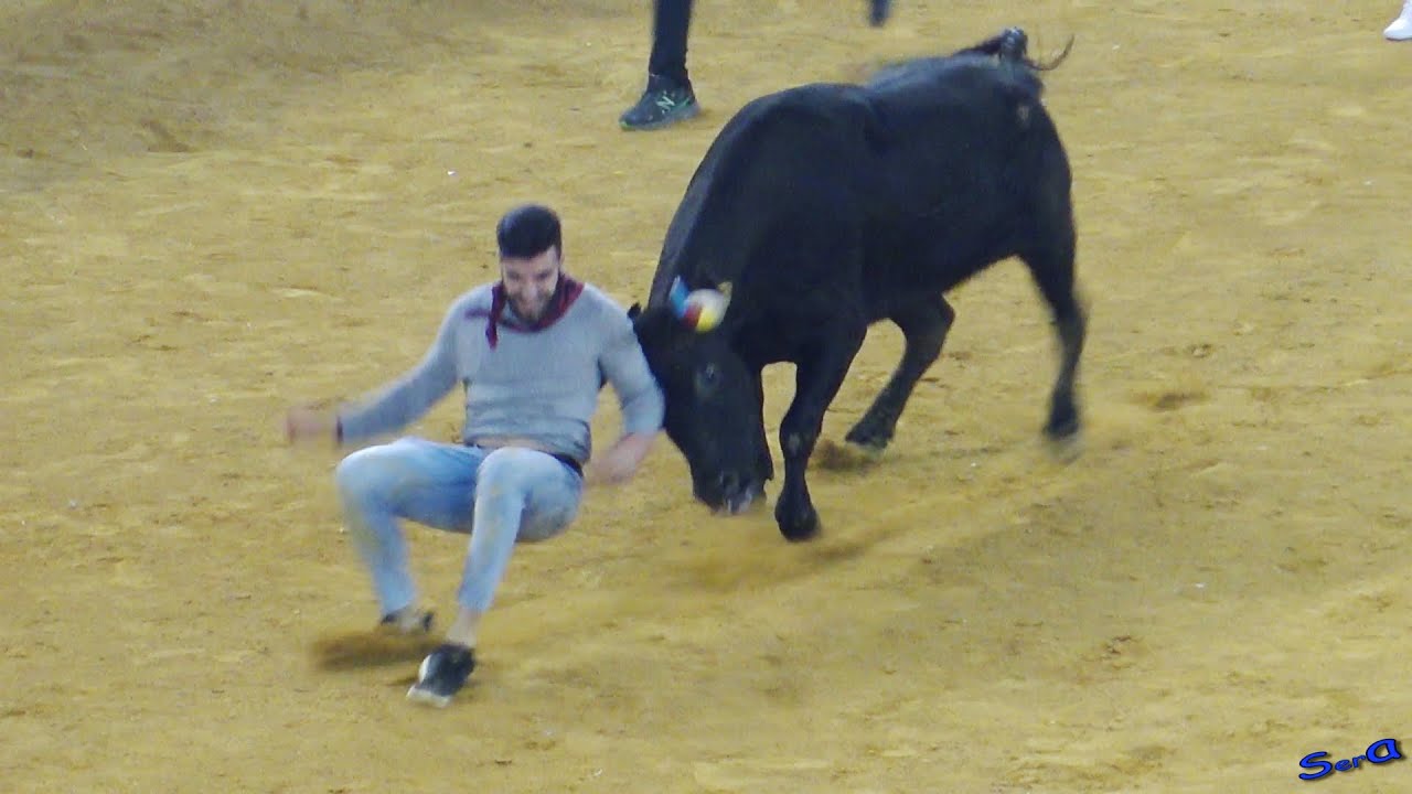 ✅ZARAGOZA 19 ◾ Mañanas Vaquilleras