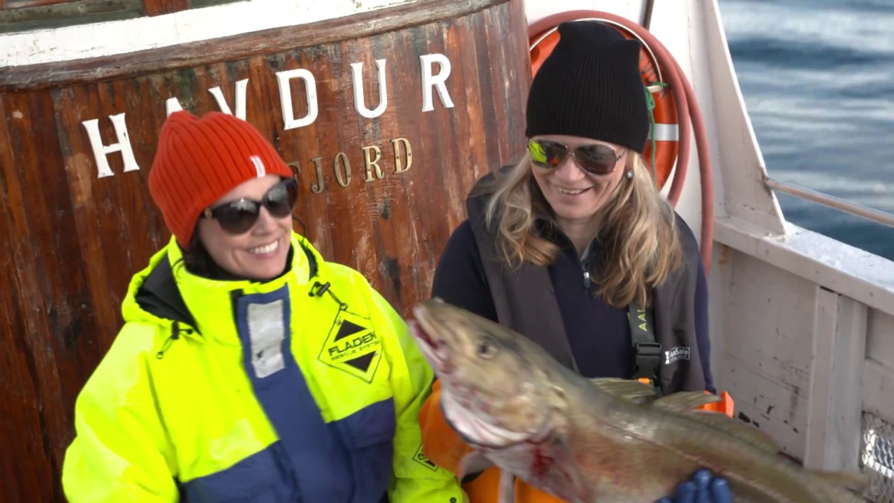 Lofothavet, linefiske - NusfjordFisk