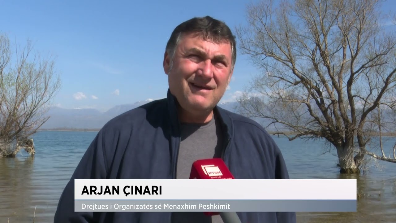 Resurset peshkore në liqenin e Shkodrës