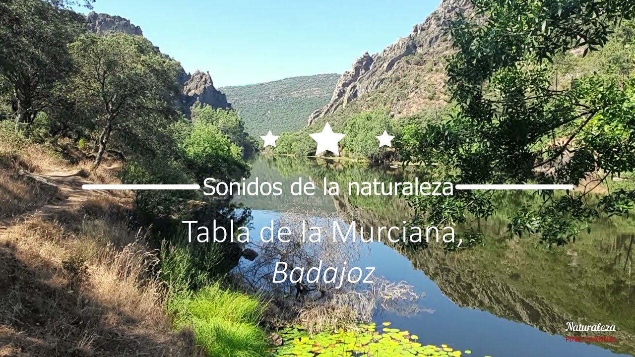 Tabla de la Murciana, Badajoz