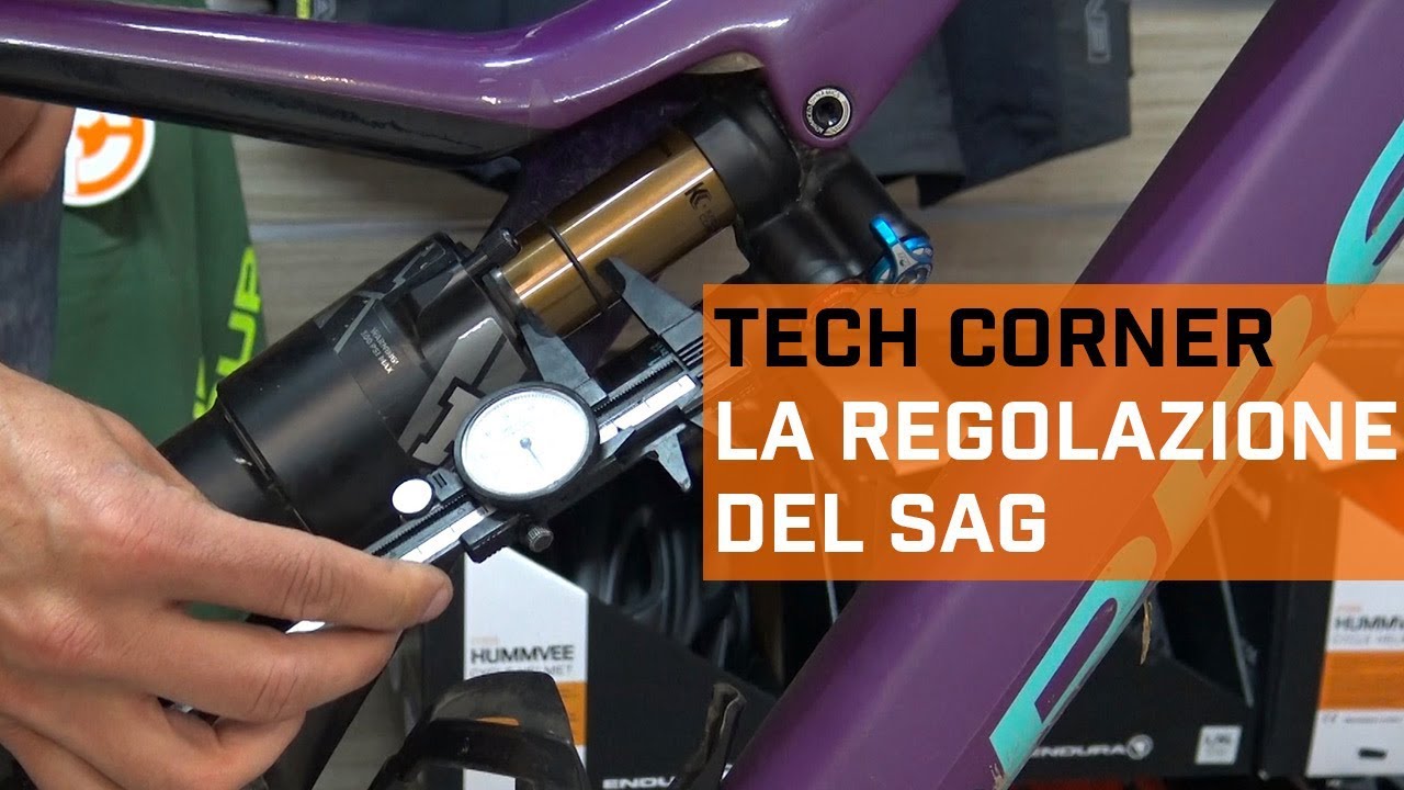 La regolazione del sag