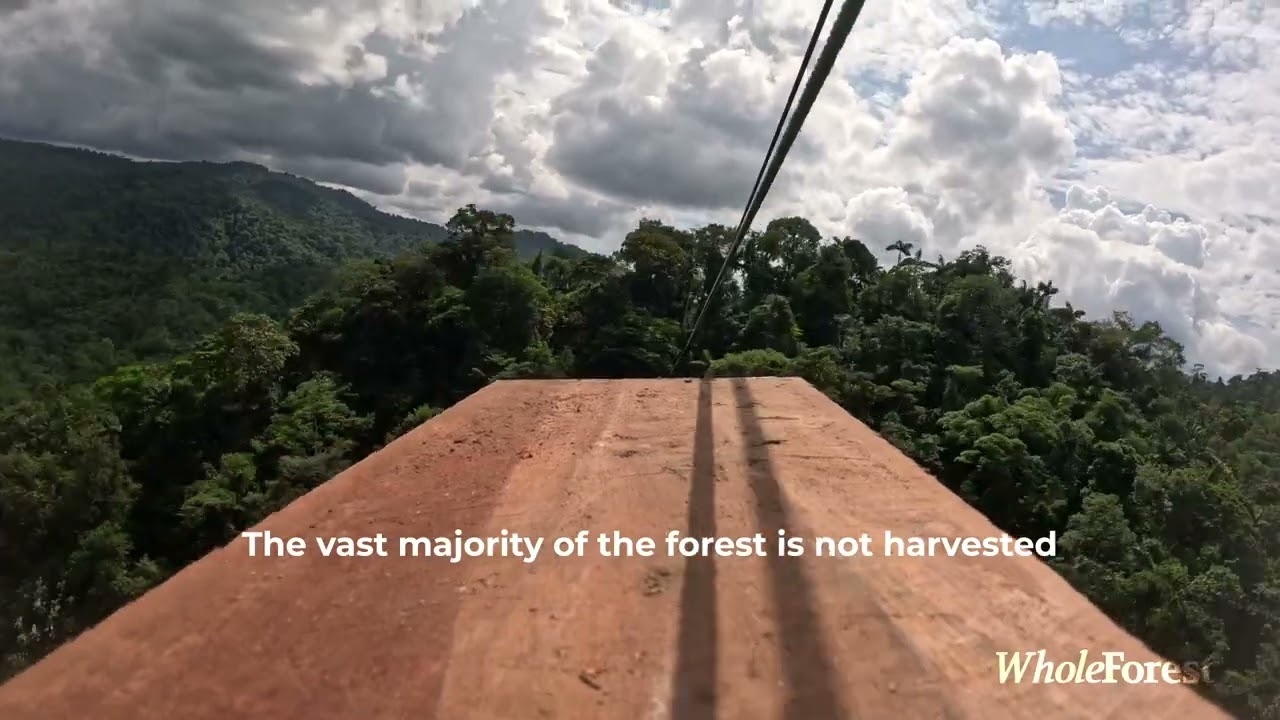 Whole Forest Cable System - Sustainable Forestry