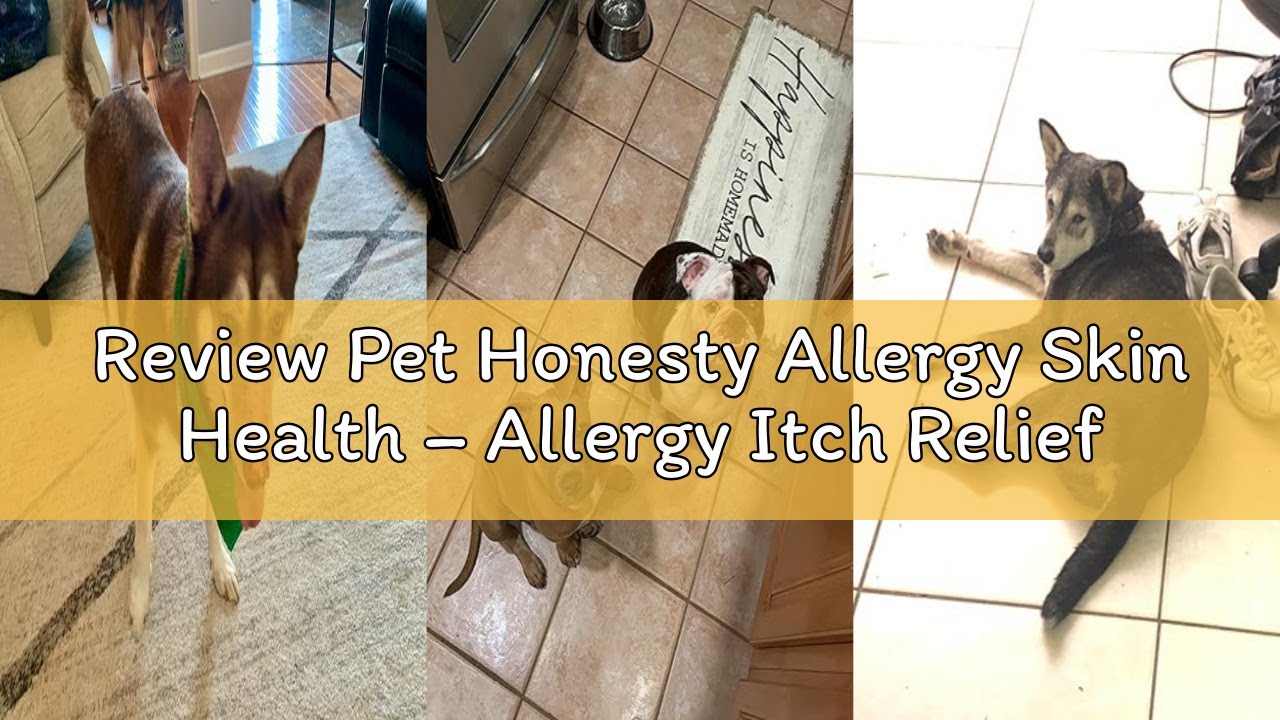 Review Pet Honesty Allergy Skin Health – Allergy Itch Relief & Immune Support Chews with Fish Oil, P
