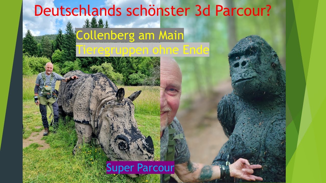 3d Parcour Collenberg, endlich wieder Bogenschiessen
