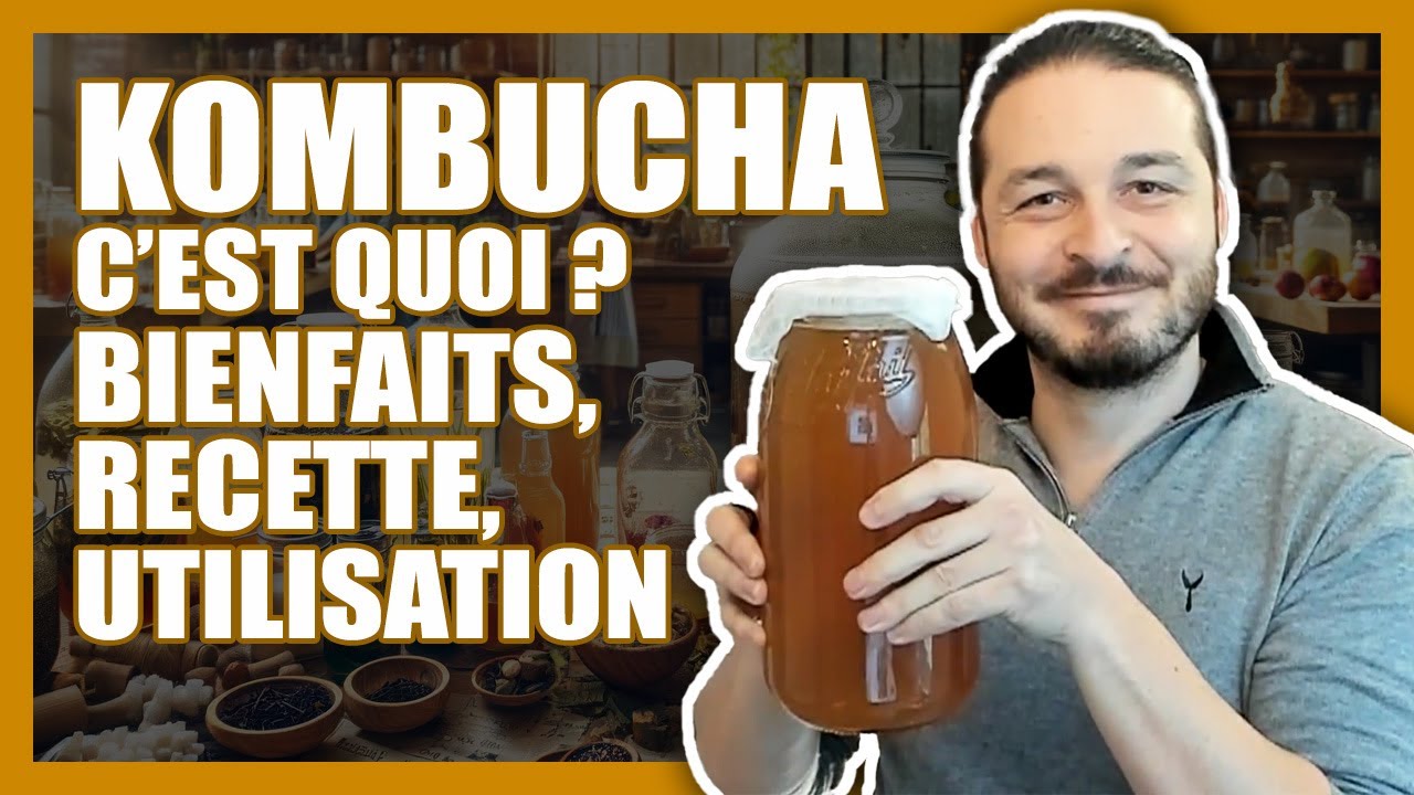 KOMBUCHA : BIENFAITS, RECETTE MAISON, UTILISATION, C'EST QUOI ?
