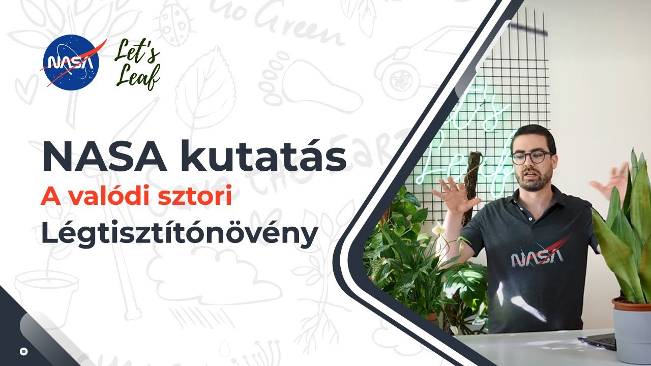 Légtisztító növények | Megnéztem az igazi NASA kutatást