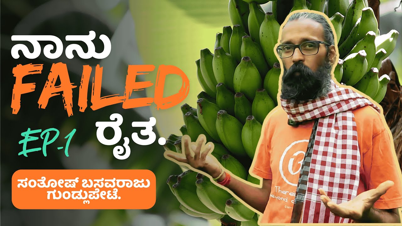 ಬಾಳು ಬೆಳಗಿದ ಬಾಳೆ । ಸಾವಯವ ಬಾಳೆ ಬೆಳೆಯ ಇಂಚಿಂಚೂ ಮಾಹಿತಿ। Fantastic Organic banana grower. EP-1.
