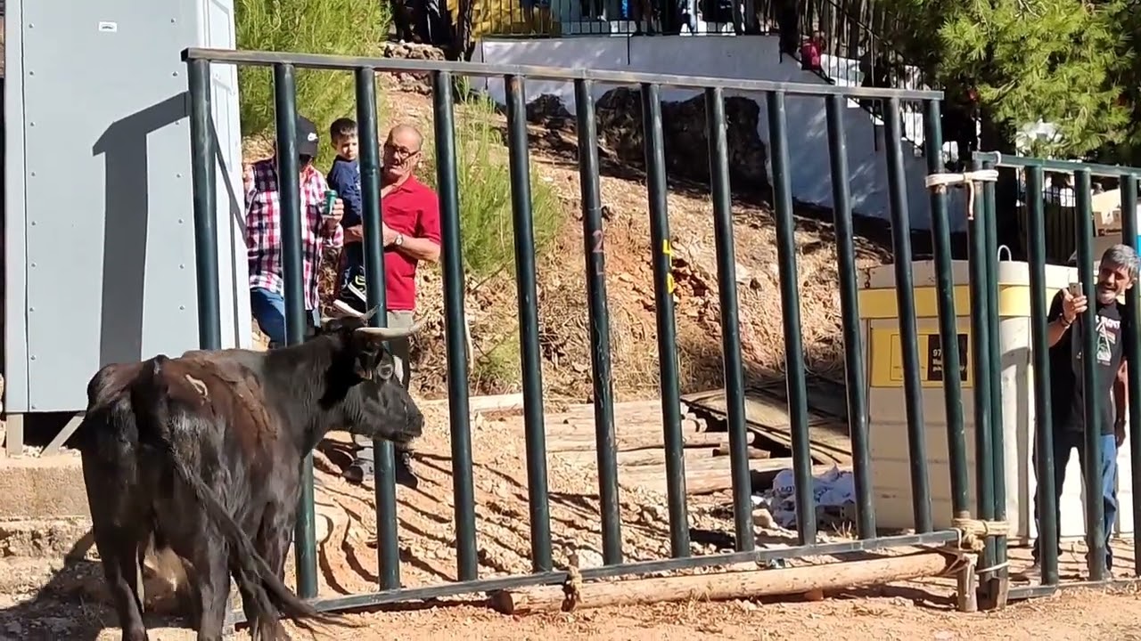 Quién se viene de encierro? Siles, feria San Miguel 2022