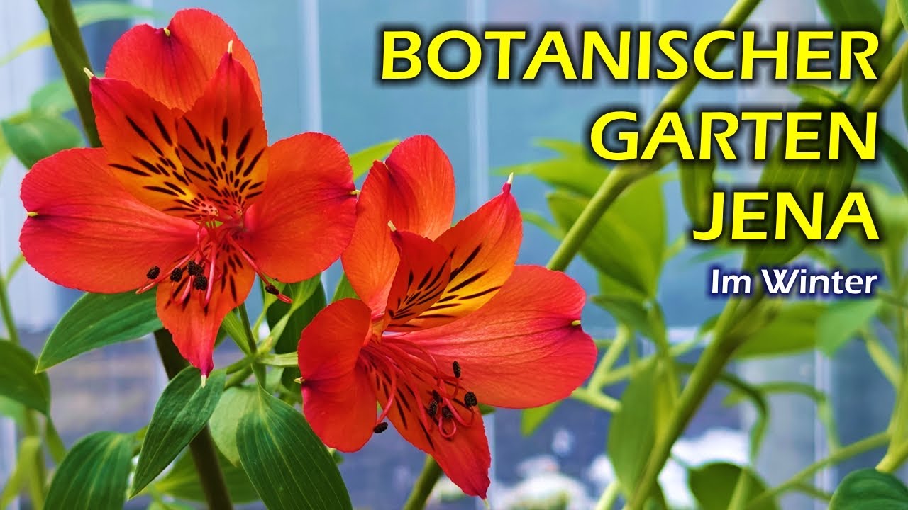 Zweitältester Botanischer Garten Deutschlands