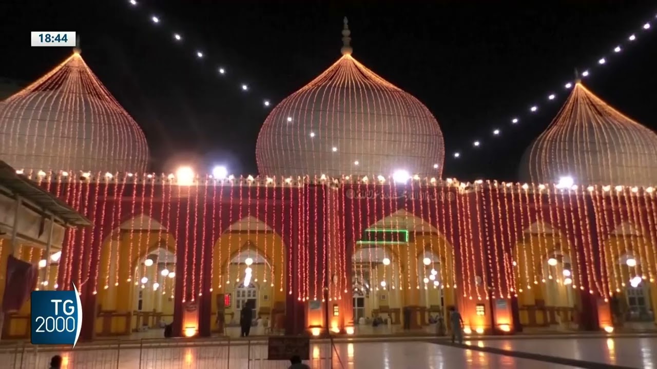 Cristiani e musulmani insieme per la pace in un mondo ferito