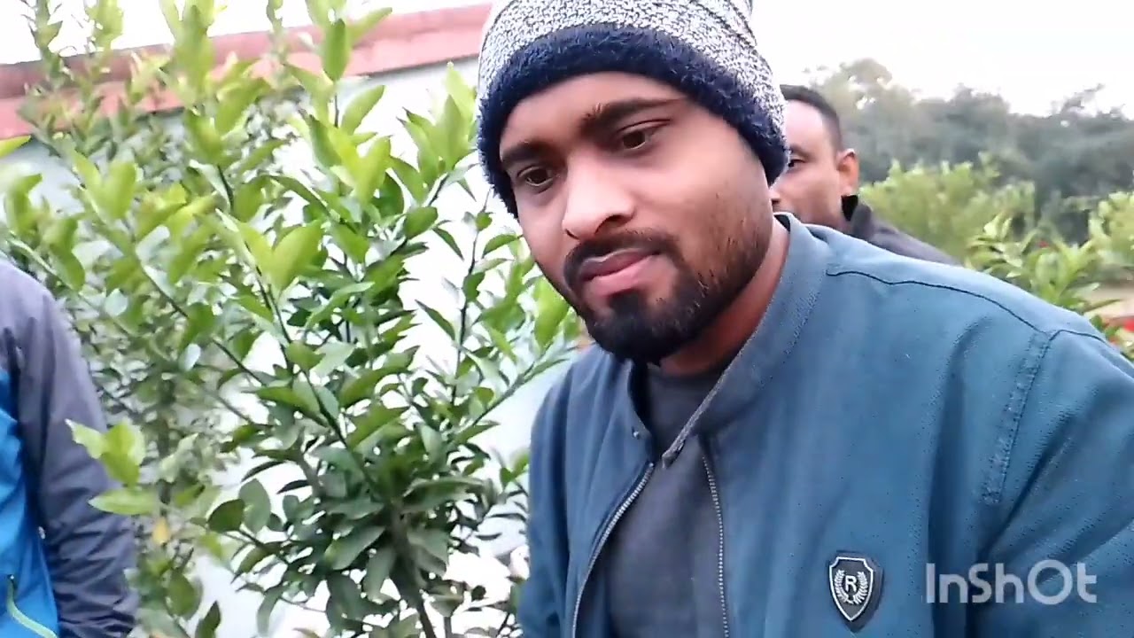 কমলার সেরা জাত পাকিস্তানি ১ কমলা।