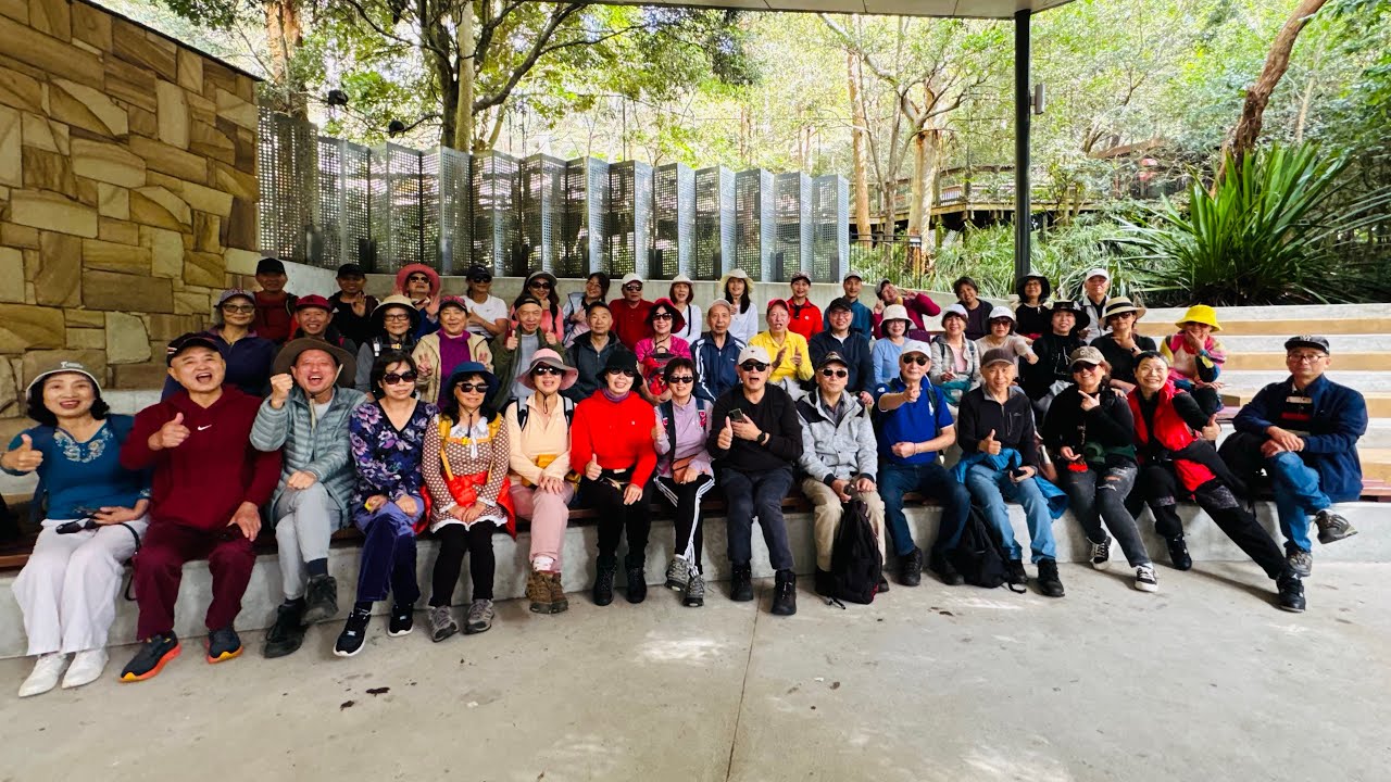 Blackbutt Reserve Hiking 徒步