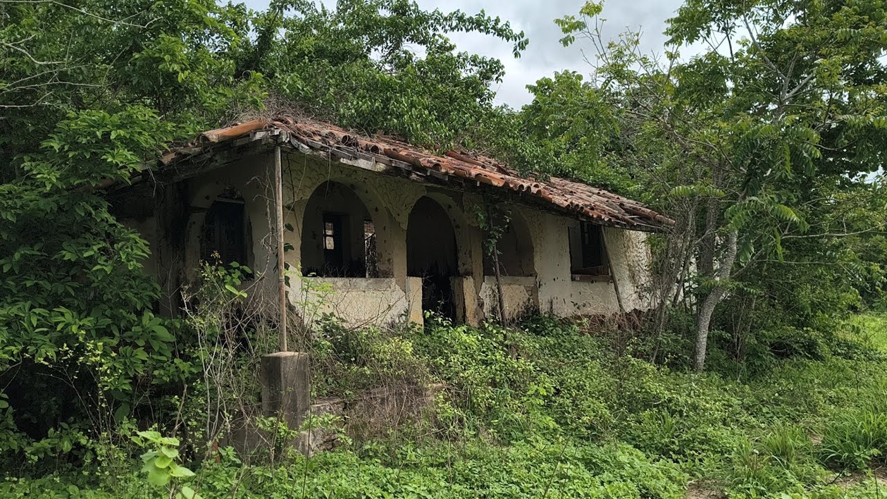 Uma fazenda, em completo abandono. Fazenda Santa Ana em ruínas 