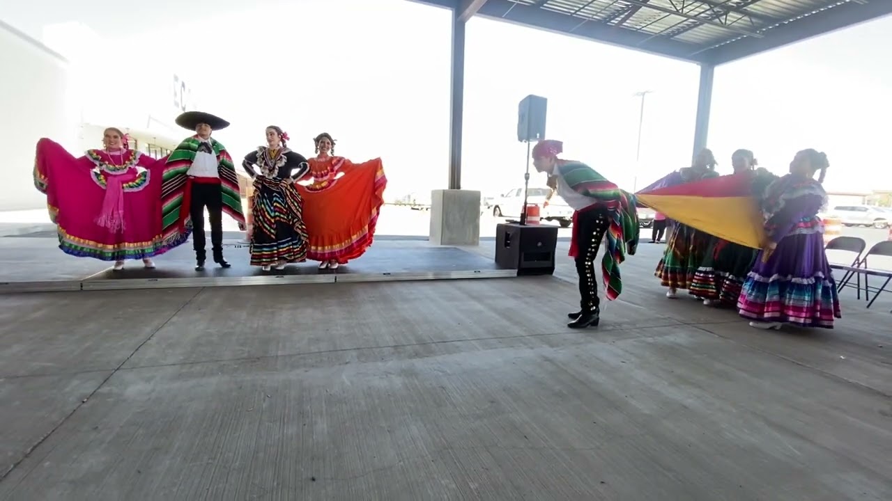 Pelea De Gallos