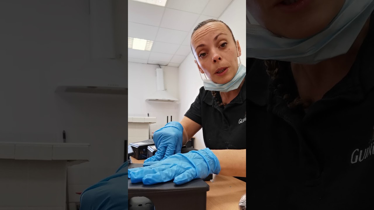 mettre en place un protocole d'extermination de rongeurs dans un entrepôt