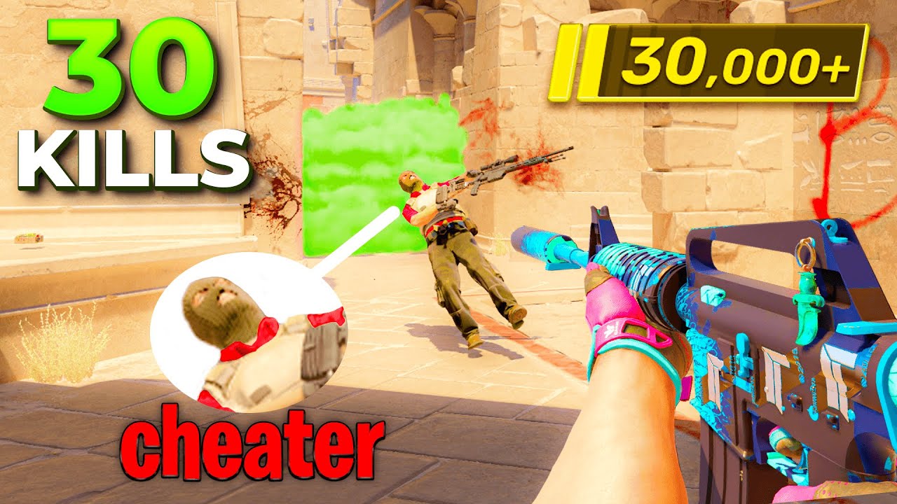 I Dropped 30 Kills AGAINST This CHEATER..