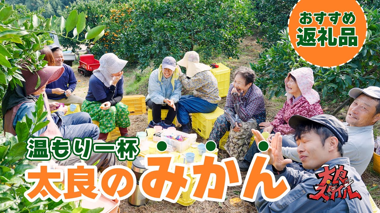 【みかん】ふるさと納税で人気！約１世紀続く農家のこだわり-佐賀県太良町