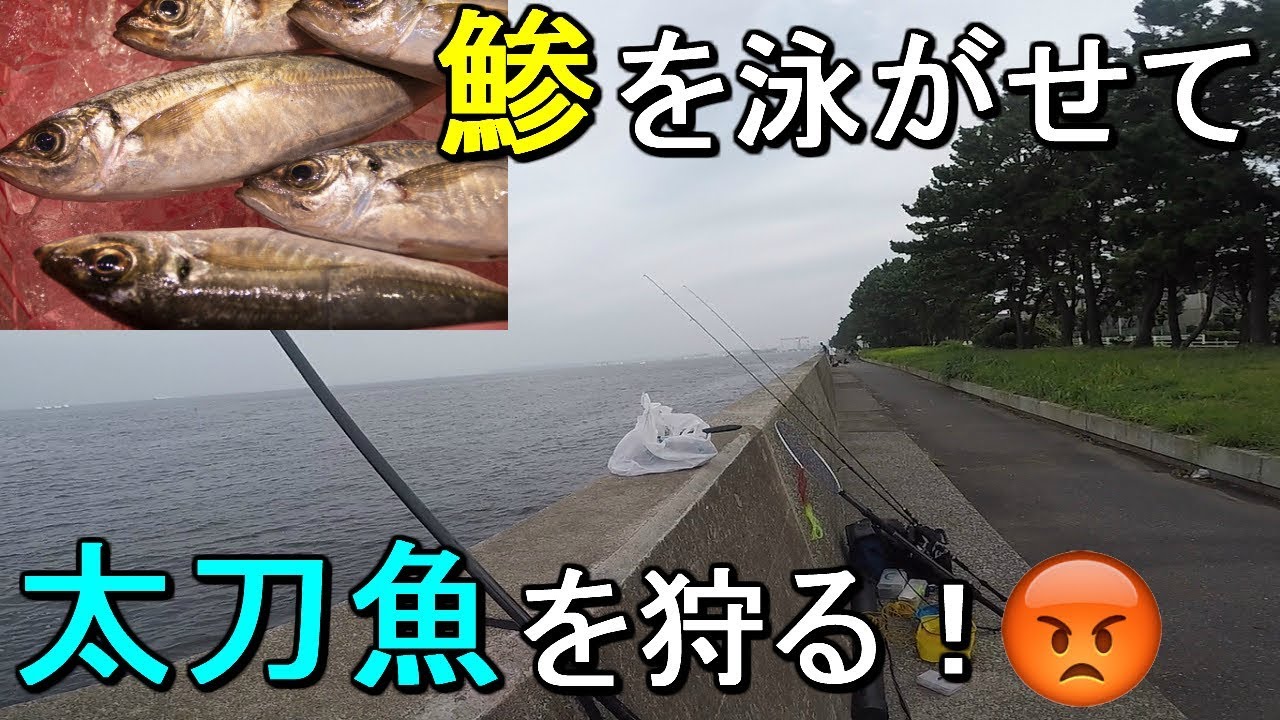 【福浦岸壁】ドラゴン級爆釣中！？釣ったアジの泳がせ釣りで大型のタチウオを狙う！【2019.08.27】