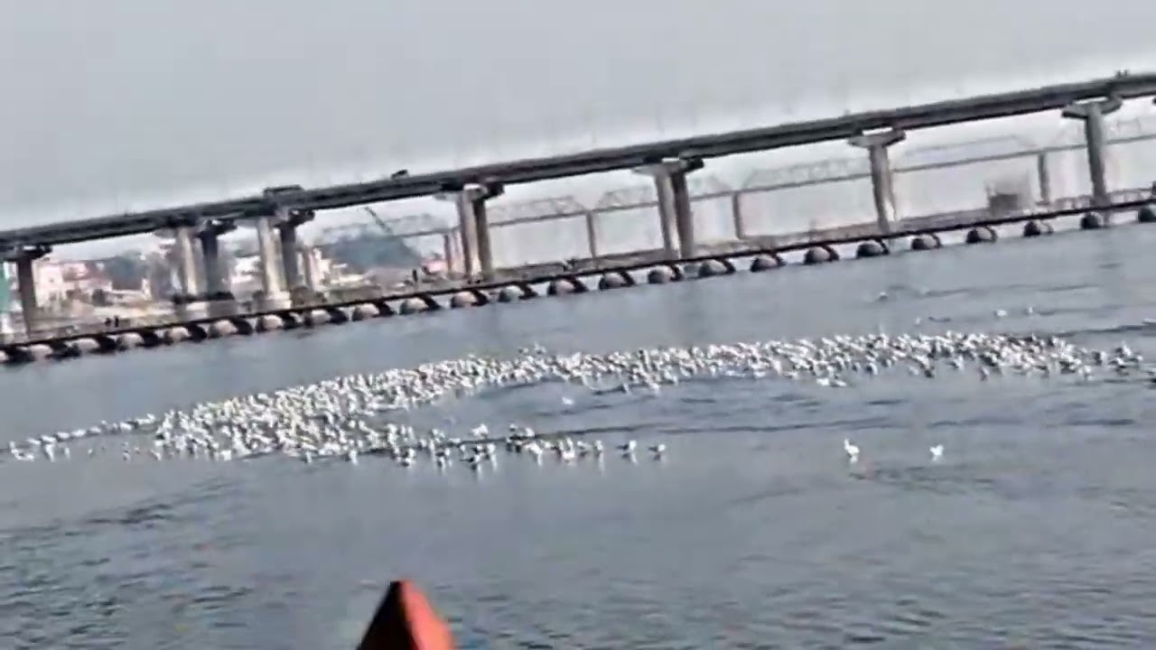 Sangam River Of Prayagraj || close to nature