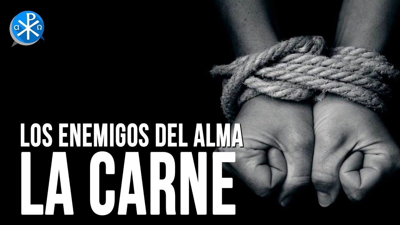 La Carne | Perseverancia - P. Gustavo Lombardo