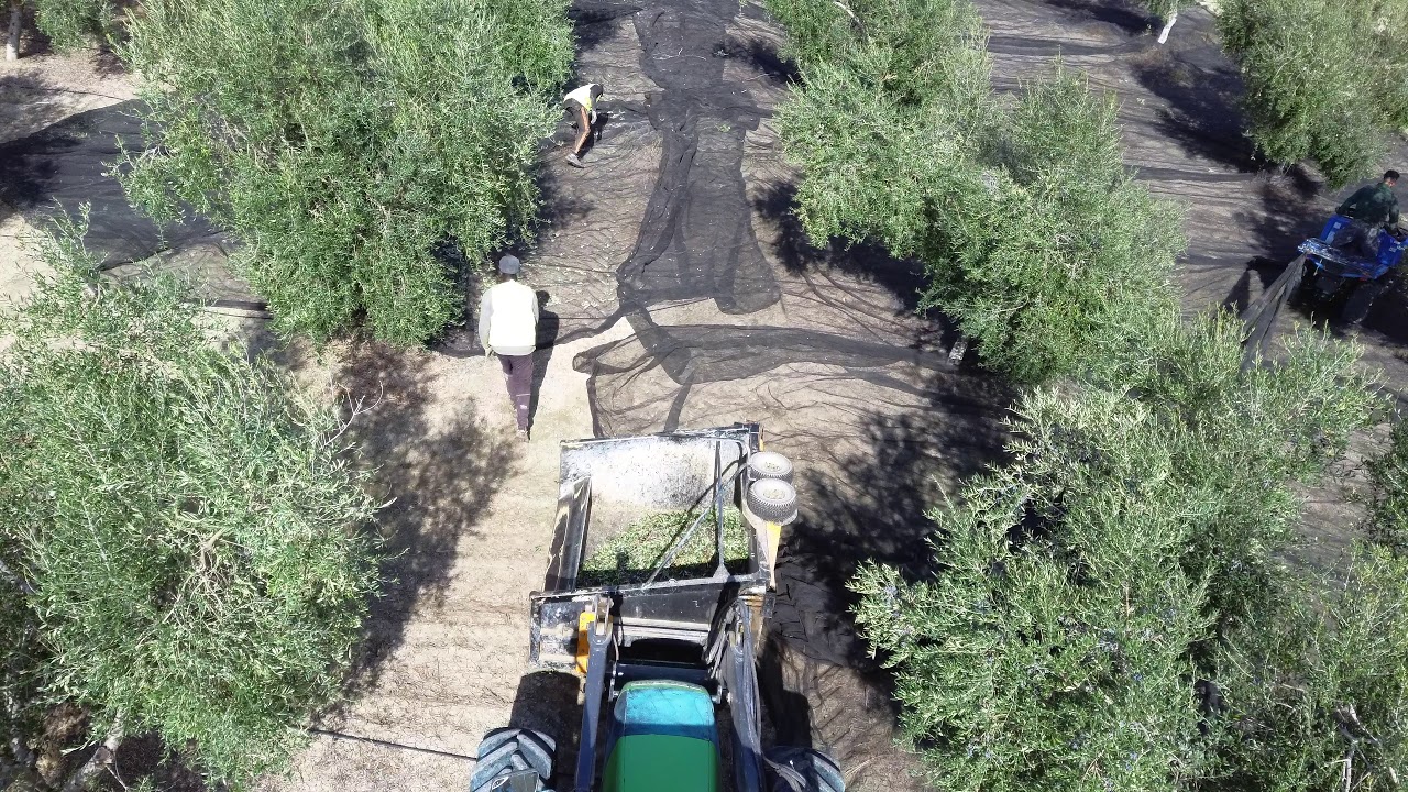 Agrogadeo - Cajón para recoger fardos