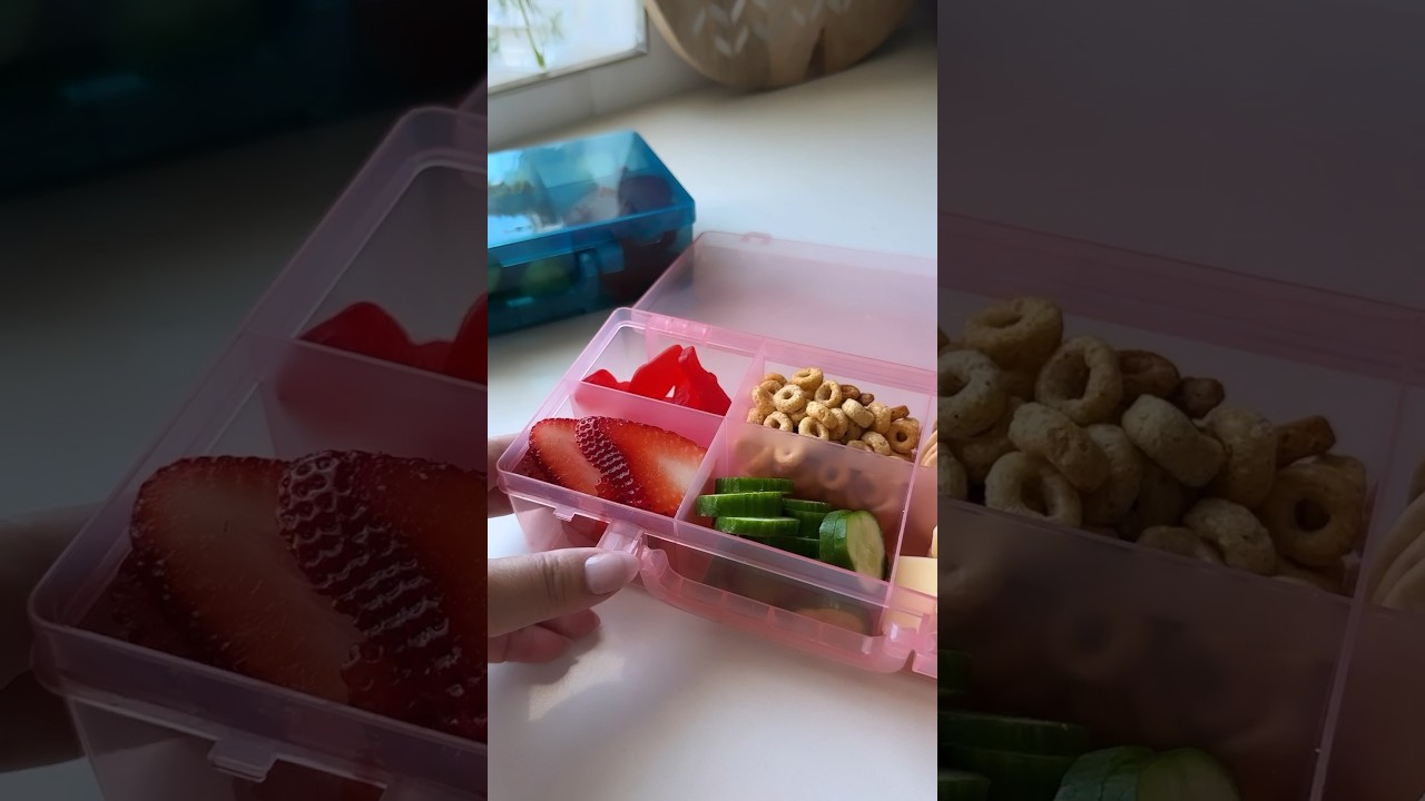 Snackle box travel snack hack! #foodkidslove #kidssnacks #snacksforkids #travelhacks #targetfinds
