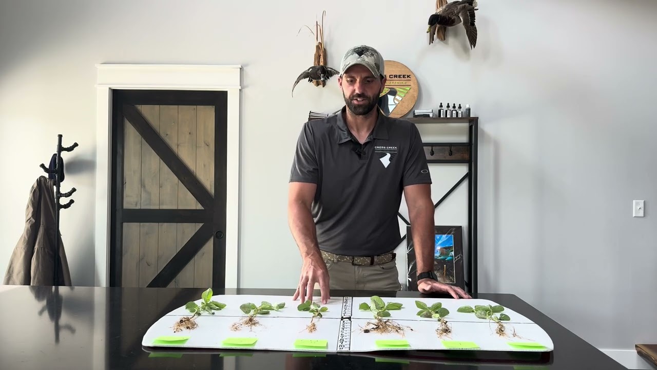 Soybean In-Furrow Trial Evaluation (June 2025)